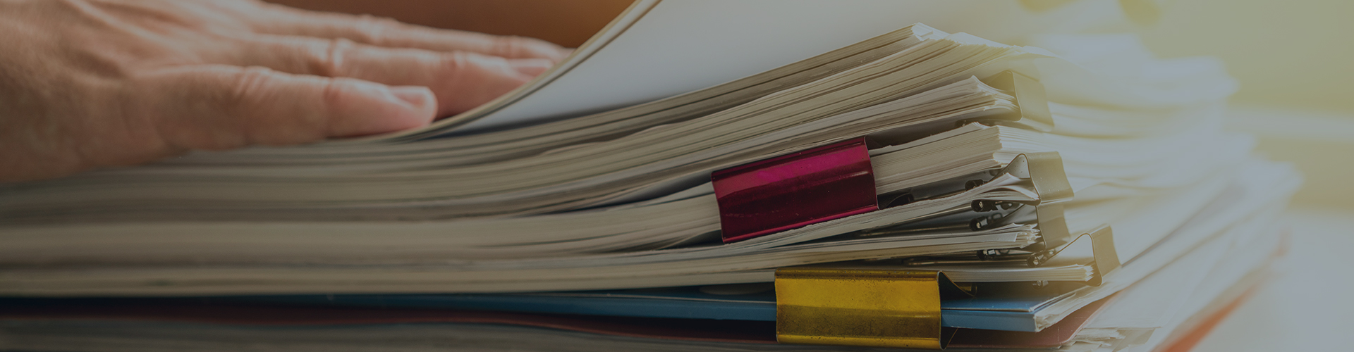 Malaysia's Foreign Labor Industry